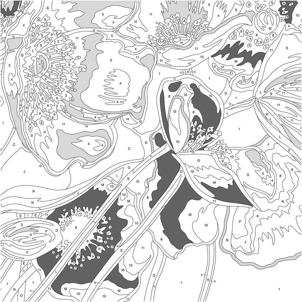 Paint By Number Blue Poppies 14"x11" DIM91657