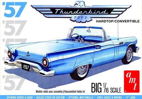 Ford Thunderbird 1957 1/16 AMT1206