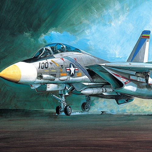 F14A Tomcat 1/48