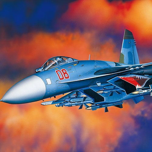 SU-27 Flanker B 1/48 ACY12270