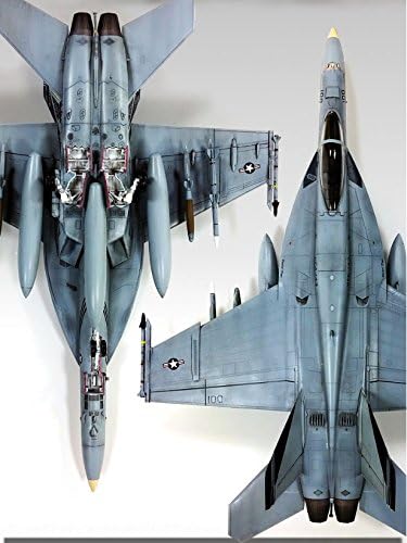 USN F/A-18E VFA-143 Pukin' Dogs 1/72 ACY12547