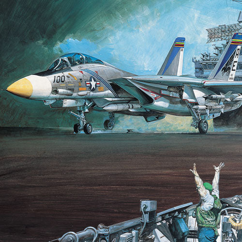 USN F-14A VF-143 Pukin Dogs 1/72 ACY12563