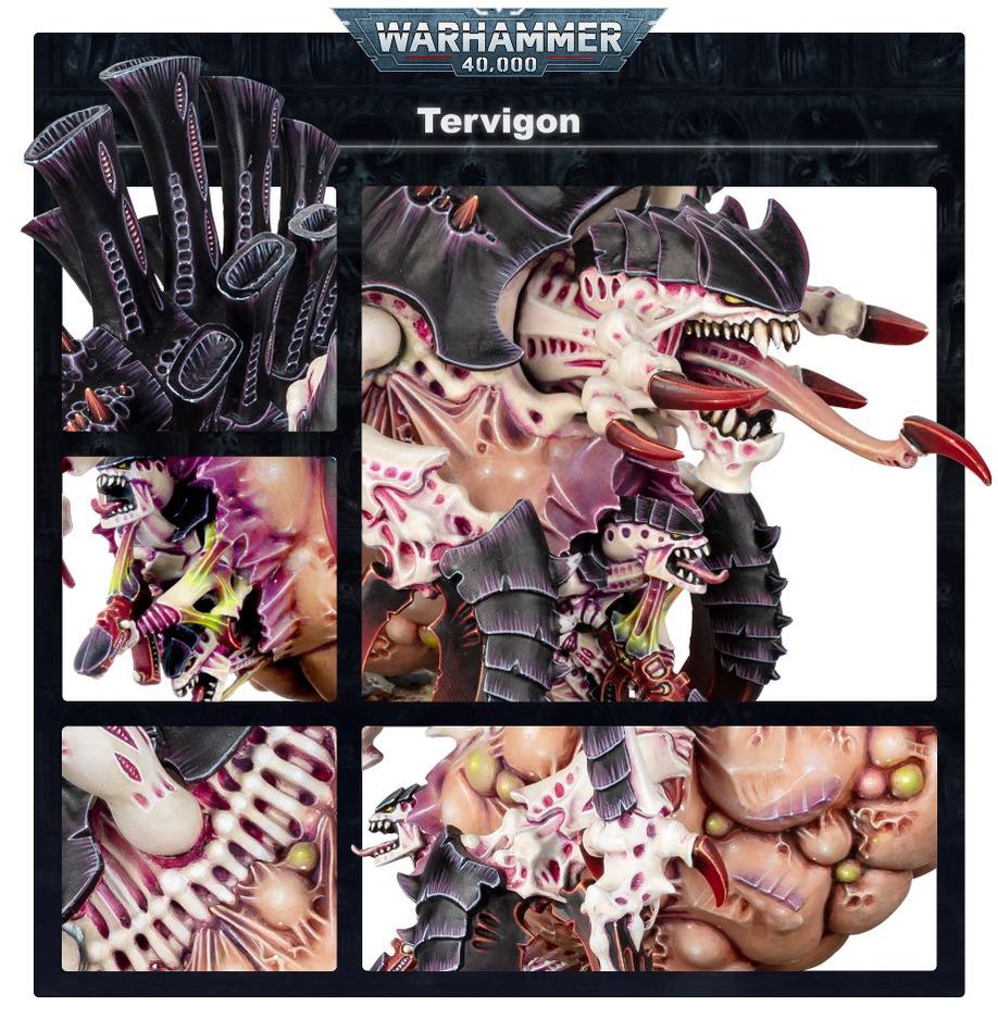 Tyrannofex/Tervigon (51-09)