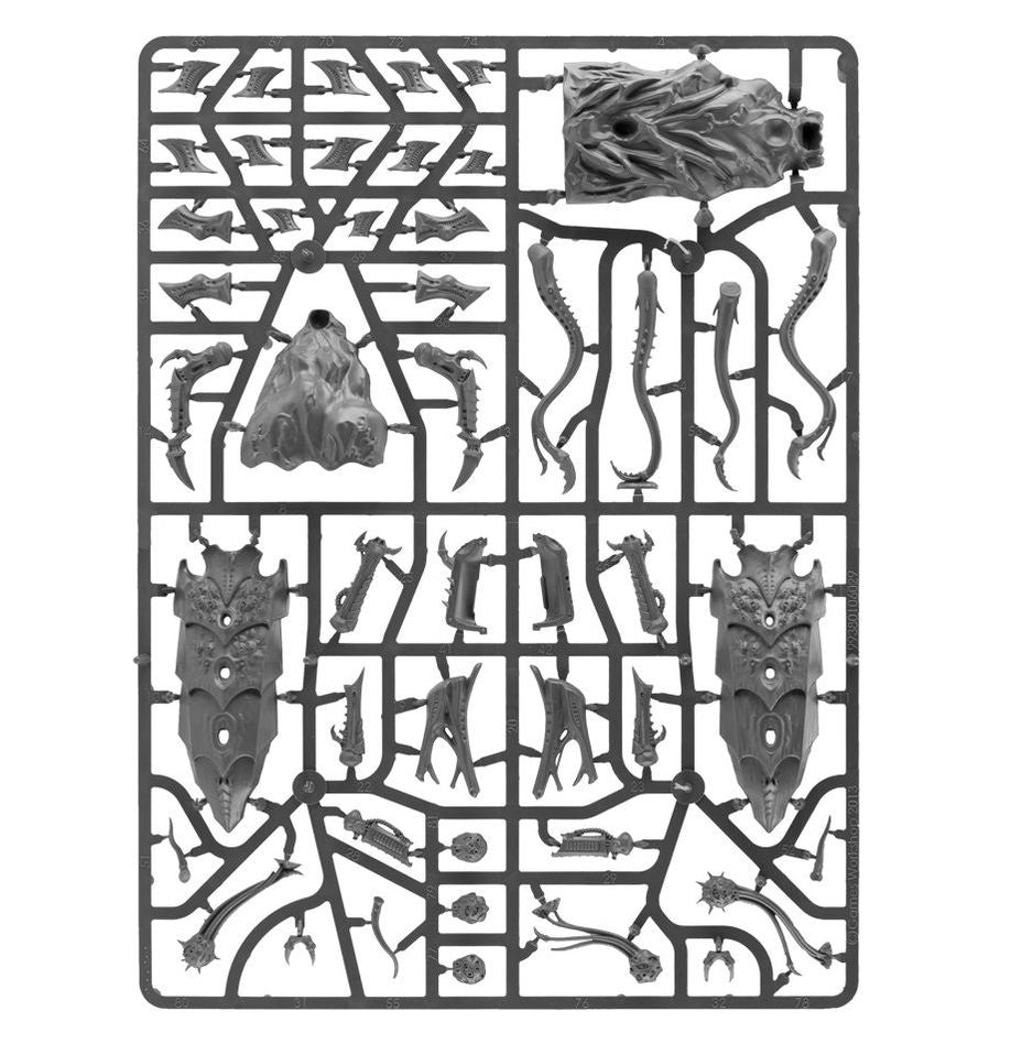 Tyrannocyte/Sporocyst and Mucolid Spore (51-21)