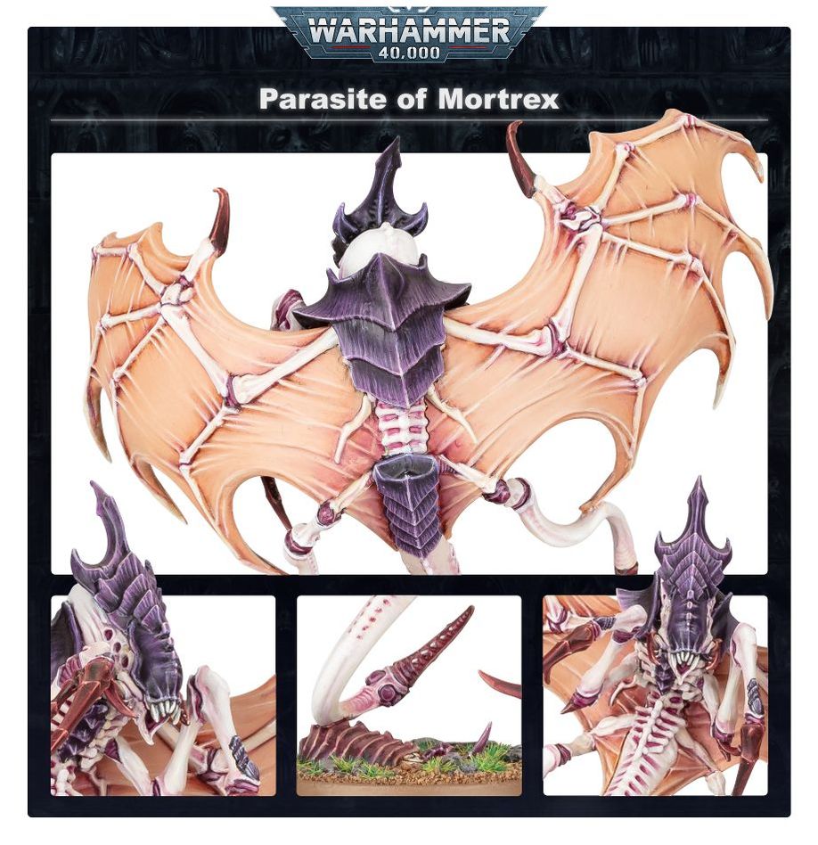 Parasite of Mortrex (51-27)