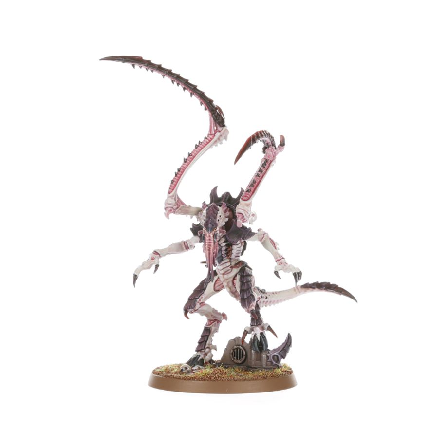 Lictor (51-29)