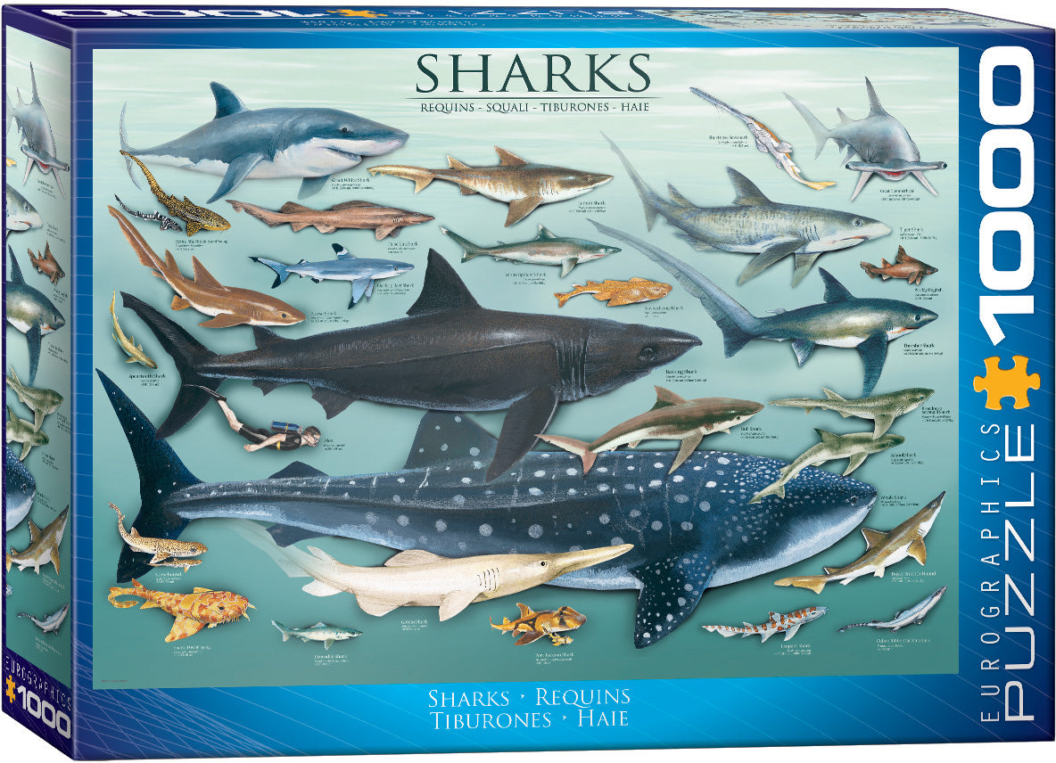 Eurographics Sharks (6000-0079) (1000)