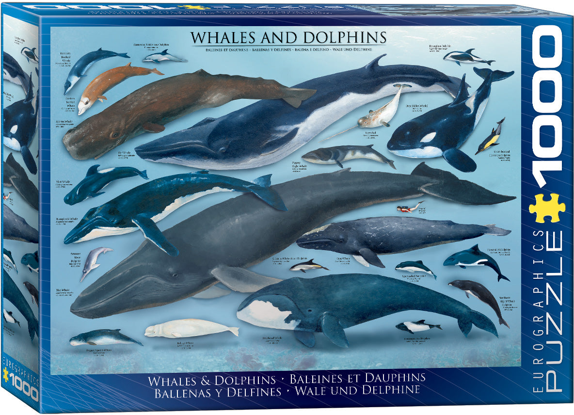 Eurographics Whales & Dolphins (6000-0082) (1000)