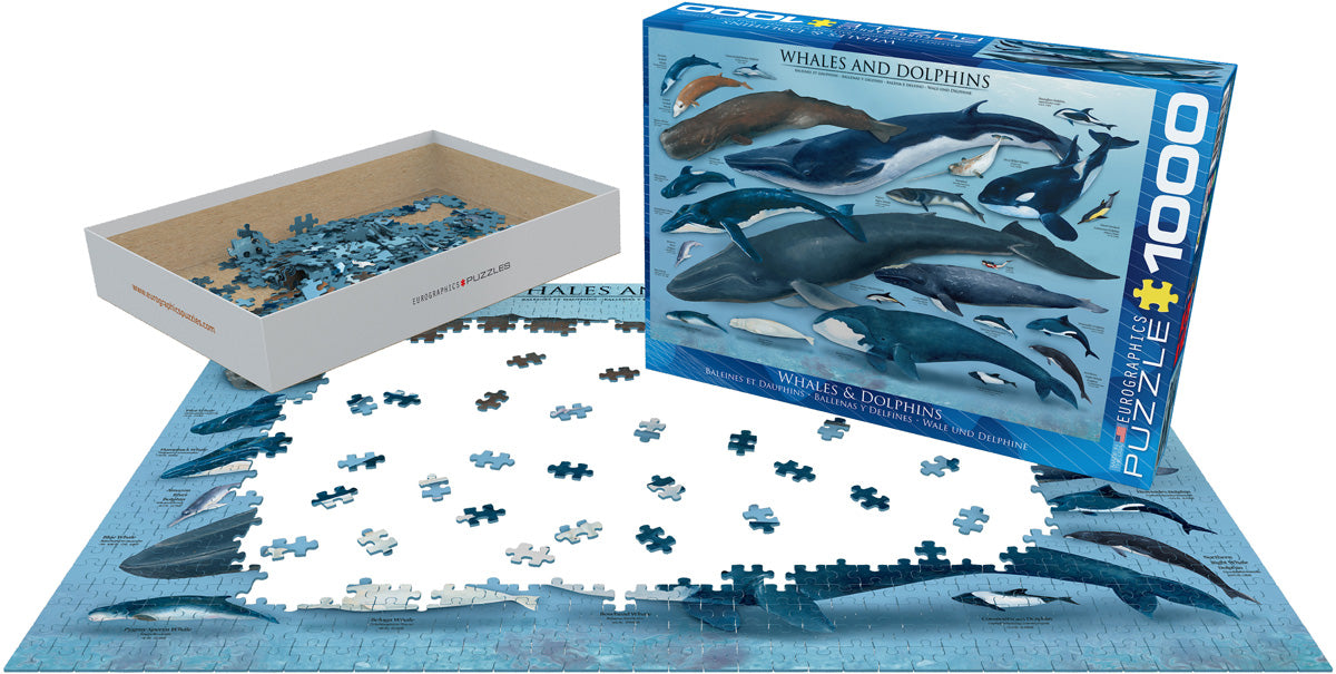 Eurographics Whales & Dolphins (6000-0082) (1000)