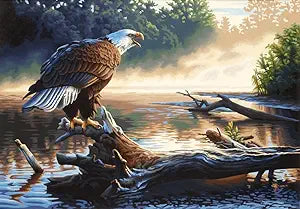 Paint By Number Eagle Hunter 20"x14" DIM91379