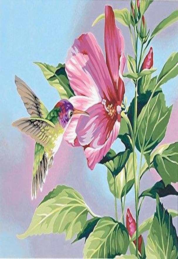 Paint By Number Hibiscus Hummingbird 14"x11" DIM91419