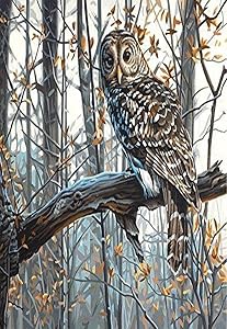 Paint By Number Wise Owl 14"x11" DIM91428