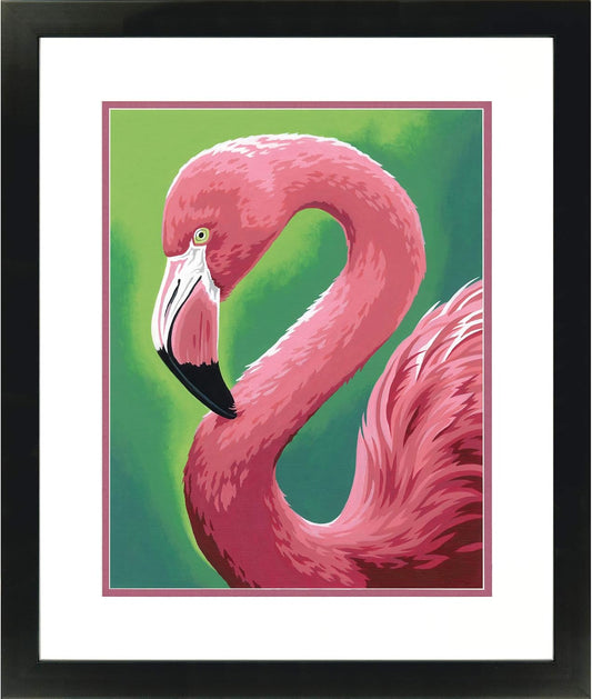 Paint By Number Flamingo 11"x14" DIM91677